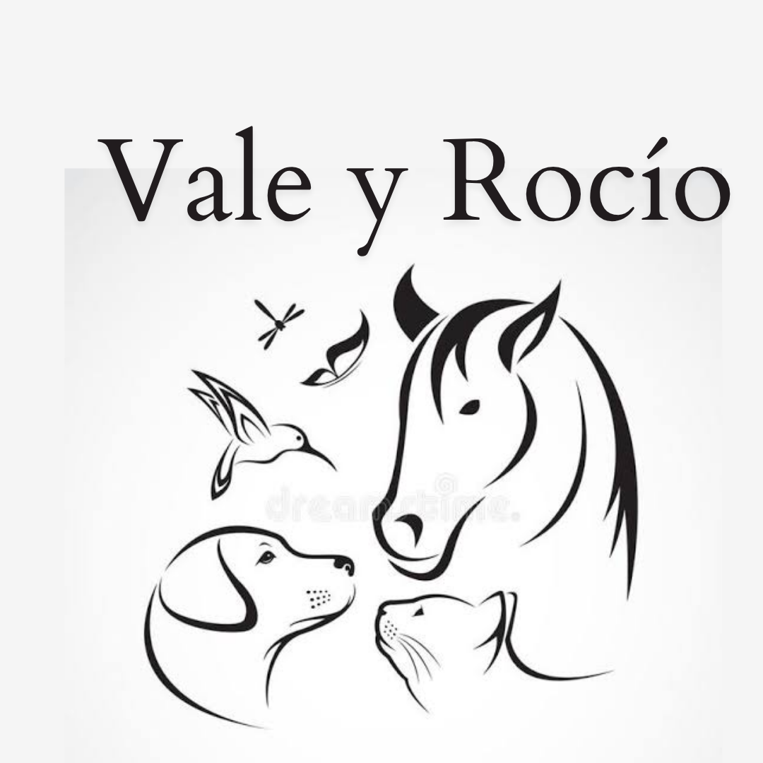 Protegido: Vale y Rocío